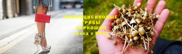 2c-b Абаза