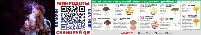 Галлюциногенные грибы Cubensis  даркнет сайт  Сергач 